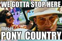 We Can't Stop Here, This is Bat Country