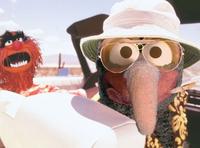 We Can't Stop Here, This is Bat Country
