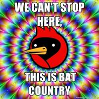 We Can't Stop Here, This is Bat Country