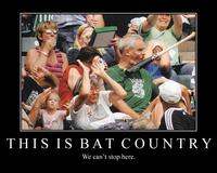 We Can't Stop Here, This is Bat Country