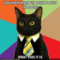 Business Cat