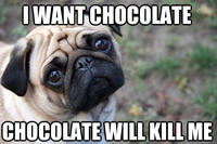 First World Problems