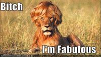 Bitch I'm Fabulous