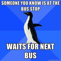 Socially Awkward Penguin