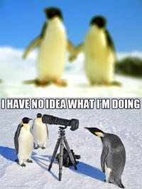 I Have No Idea What I'm Doing