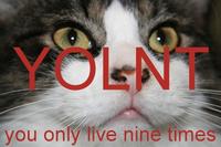 YOLO