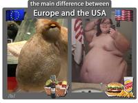The Main Difference Between Europe and USA
