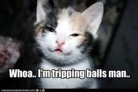 Tripping Balls