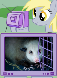 My Little Pony: Friendship is Magic