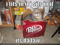 If It Fits I Sits
