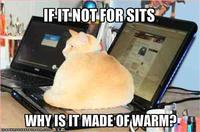 If It Fits I Sits