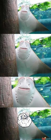 Forever Alone