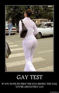 Gay Test