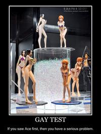 Gay Test