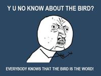 "Y U NO" Guy