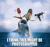 This Looks Shopped