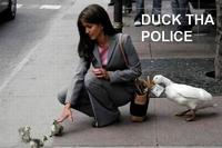 Fuck the Police