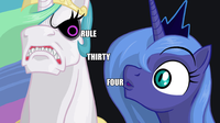 Pony Reactions