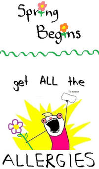X all the Y