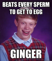 Bad Luck Brian