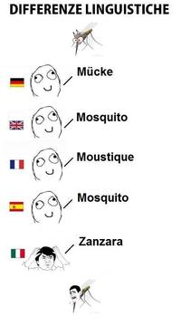 Differenze Linguistiche