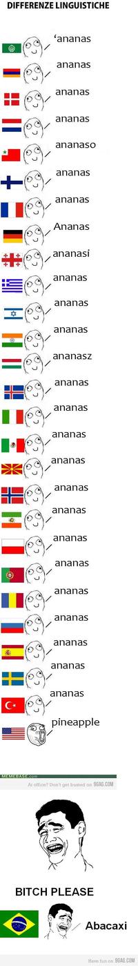 Differenze Linguistiche