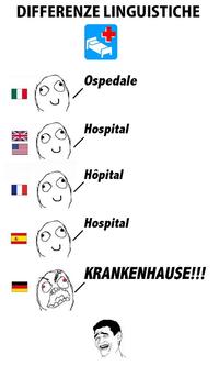 Differenze Linguistiche