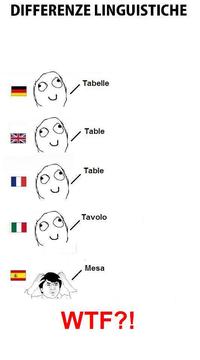 Differenze Linguistiche