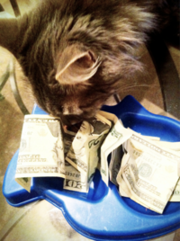 Eating Money