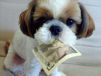 Eating Money