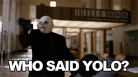 YOLO