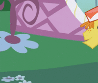 Pony Reactions