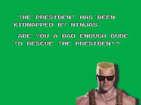 Bad Dudes