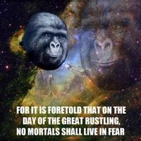 That Really Rustled My Jimmies