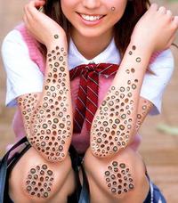 Lotus Pod Holes
