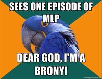 Paranoid Parrot