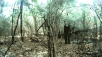 Slender Man