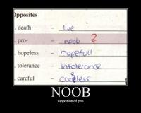 Noob