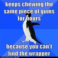 Socially Awkward Penguin