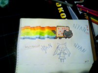 Nyan Cat / Pop Tart Cat