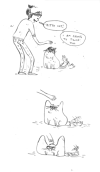 Cats