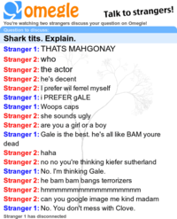 Omegle Spy Mode