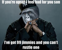 That Really Rustled My Jimmies