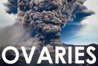 OVARIES