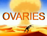 OVARIES