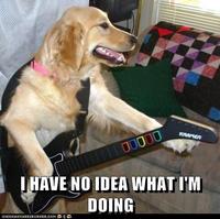 I Have No Idea What I'm Doing