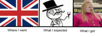 What I Watched / What I Expected / What I Got