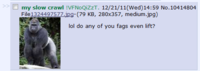 Do You Even Lift?