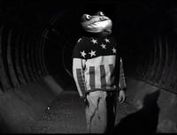 Get Out Frog / Frogout / Me Obrigue