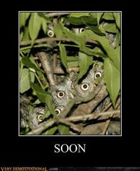 SOON